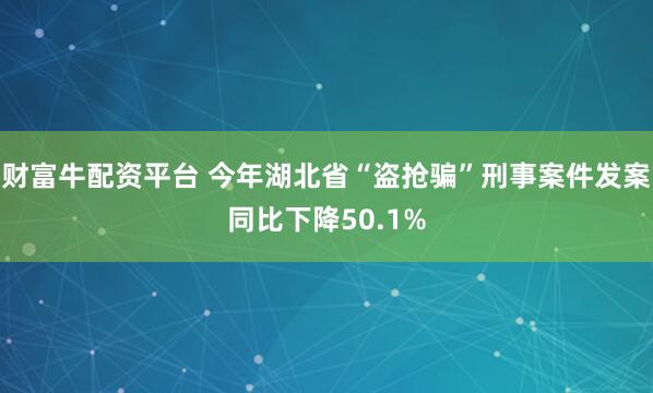 财富牛配资平台 今年湖北省“盗抢骗”刑事案件发案同比下降50.1%