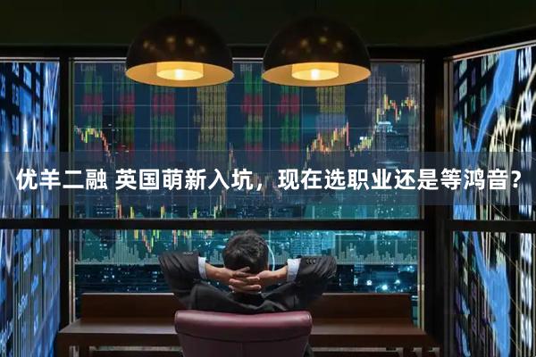 优羊二融 英国萌新入坑，现在选职业还是等鸿音？